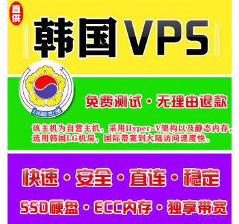 韩国VPS注册1024M推荐，seo怎么读音